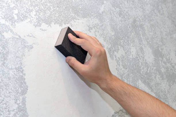 Best Mold Remediation for Healthcare Facilities  in Massapequa, NY