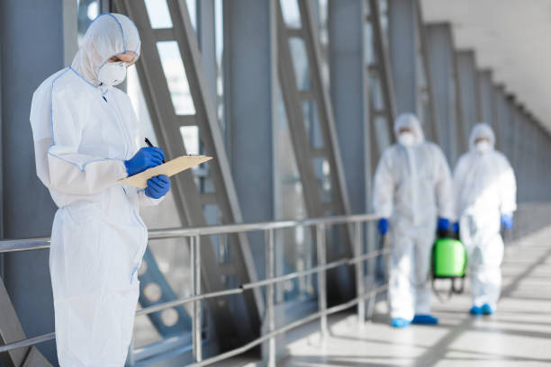 Mold Remediation for Rental Properties in Massapequa, NY