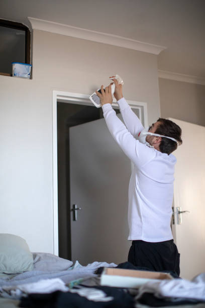 Best Mold Prevention Services  in Massapequa, NY