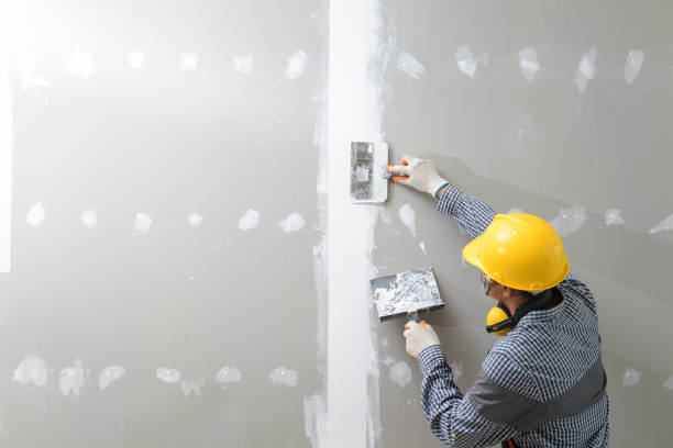 Best Dehumidification Services  in Massapequa, NY
