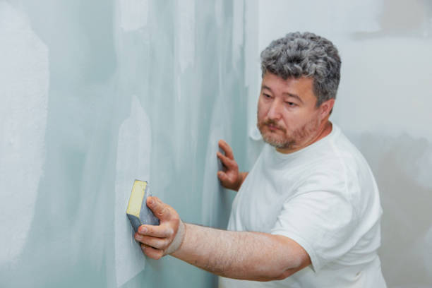 Best Attic Mold Removal  in Massapequa, NY