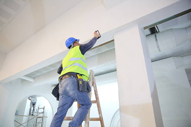 Best Forensic Mold Investigation  in Massapequa, NY